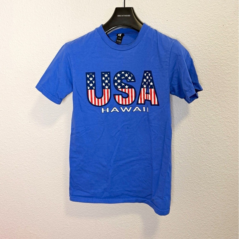 Gildan Men's Blue USA Hawaii Patriotic Graphic Print Cotton Crew Neck Tee S